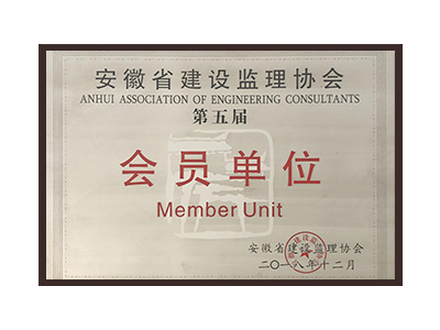 铜陵安徽省建设监理协会